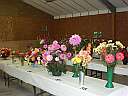 More flower displays, click for a bigger picture.