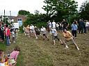 Tug of war competition, 'Oldbury Fathers', click for a bigger picture.